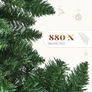Christmas Tree Image 3