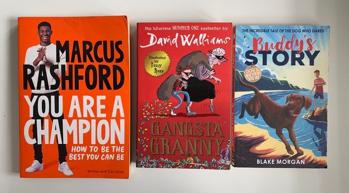 LOTS of Childrens Book Bundles - Football Books, Wimpy Kid, Cat Kid, Skulduggery Pleasant etc