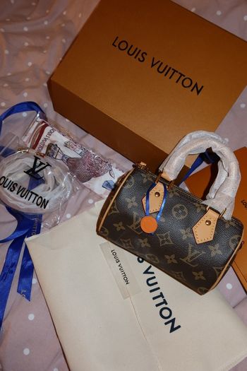 Louis Vuitton Speedy Bag