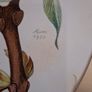 Art  - Coloured Prints X 5 Image 7