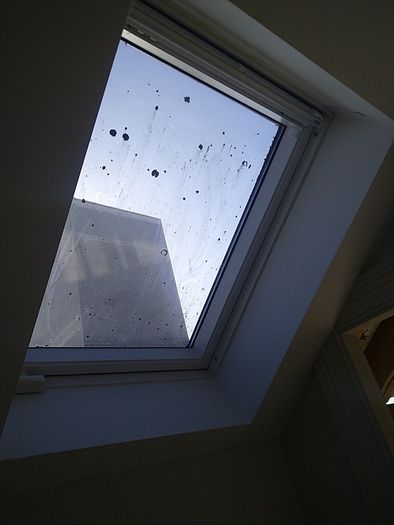 Selection of windows + Velux