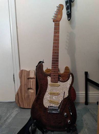 stratocaster style custom build strat