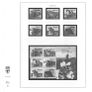 2012 & 13 Alderney Lindner-T Illustrated 18-ring hingeless album pages. Pages 49-56. These are new and have never been used. 8 pages Image 3