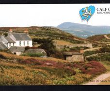 1994 Isle of Man Calf of Man Bird Observatory Commemorative Stamps Presentation Pack