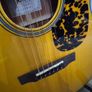 Cort L300V with k&k pure mini Image 4