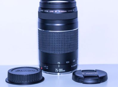 Canon EF 75-300mm f/4-5.6 III Telephoto Zoom Lens