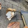 Ornaments and Car Boot Sale items. Image 10