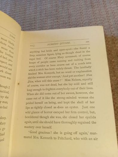 Rare Find 1876 Sybil's Book by Lady Barker. Antique. Literature.