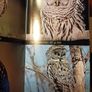 The Audubon Field Guide to North American Birds, Eastern Region/ 1988 Image 10