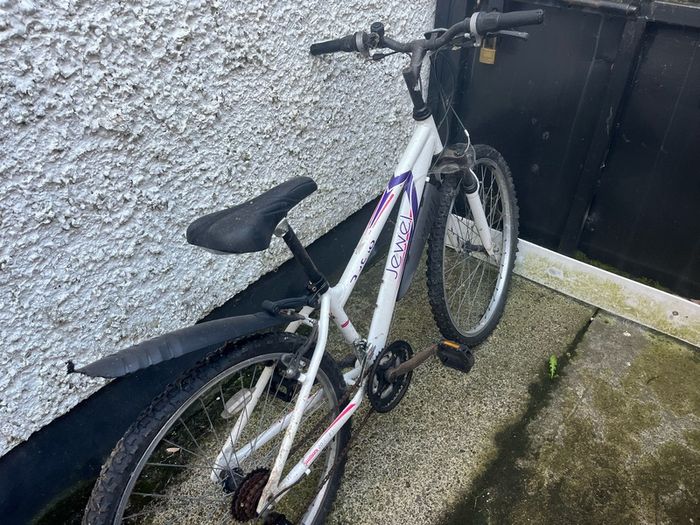 free ladies bikes