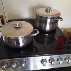 Stainless Steel Cooking pots