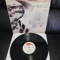 Echo And The Bunnymen: porcupine LP Irish pressing
