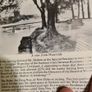 GALWAY. The History Of Saint Francis Parish GALWAY. By Mary  Naughten.  In Good Condition. Paperback. Image 7