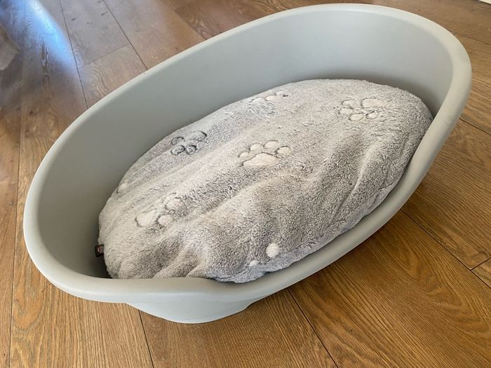 dog bed