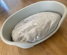 dog bed