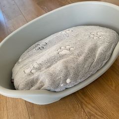 dog bed