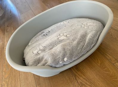 dog bed