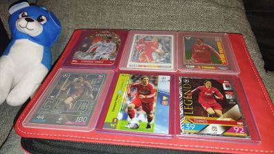 Liverpool FC Fernando Torres