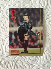 David Seaman Arsenal Football Trading Card 1995 to 1996