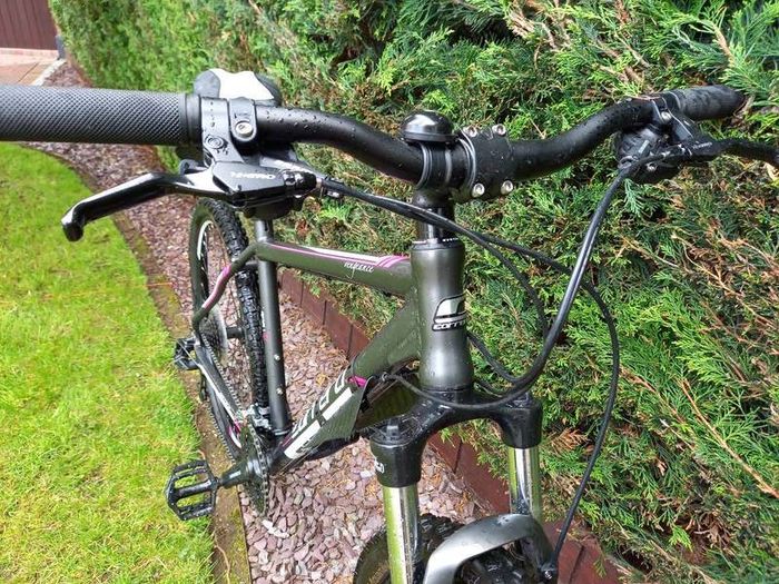 ladies mtb