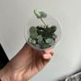 String of Hearts Image 3