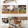 Adjustable Wooden dog ramp 120cm long - 6 levels Image 6
