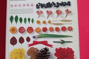 DK Pocket Encyclopedia/ Flower Arranging/ Malcolm Hillier