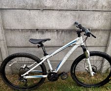 Giant Revel Bike