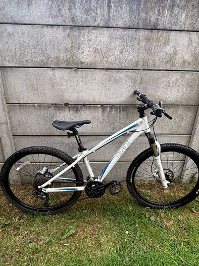 Giant Revel Bike