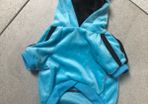 small dog (cat) velvet tracksuit