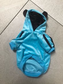 small dog (cat) velvet tracksuit