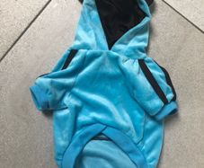 small dog (cat) velvet tracksuit