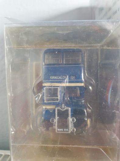 Jot Of Lot Of English British Bulldogs  Bussies Limited Edition