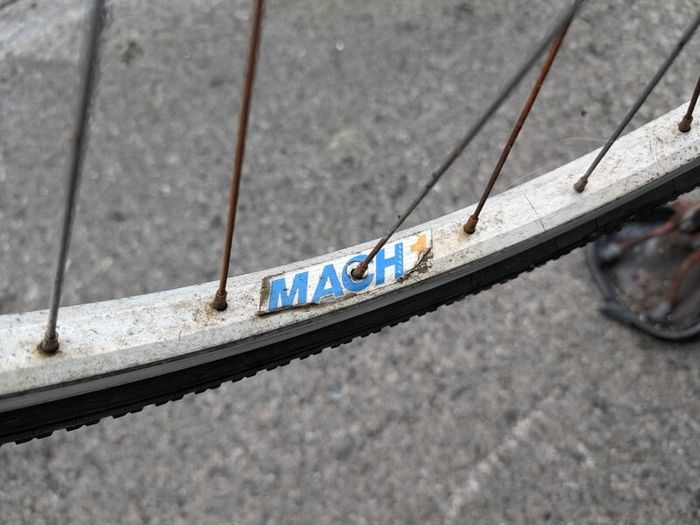 Project Giant Bicycle
