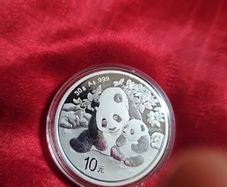 2024 30g Chinese panda pure silver
