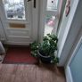 House plant Image 2
