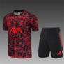 Liverpool Training Set Image 4