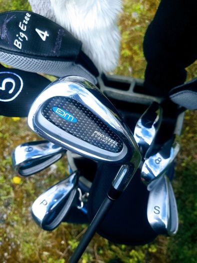 Set of Ladies Golf Clubs