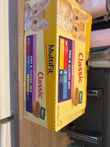 Kitten food