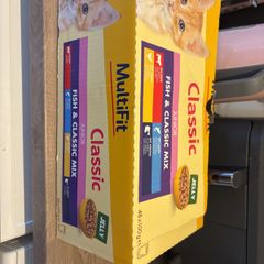 Kitten food