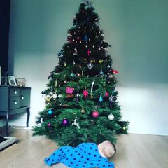 7ft Nebraska Christmas Tree
