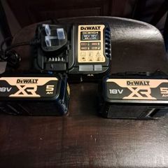 Dewalt 5ah batteries and charger dcb1104