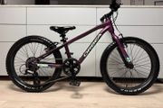 ORBEA MX20 Dirt Kids Bike 20 inch