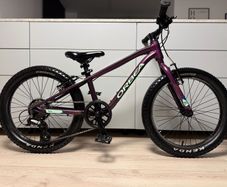 ORBEA MX20 Dirt Kids Bike 20 inch