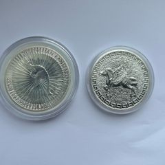 Silver 1 oz Coins