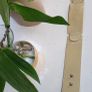 JAEGER genuine leather beige patent waistband belt - Sz M - Rrp 95 (New) Image 3