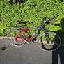 19" Bike Image 2