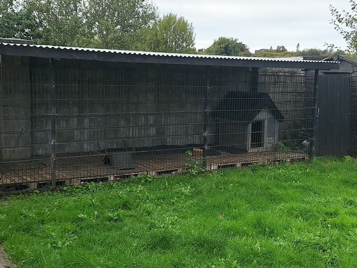 Dog run House
