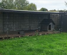 Dog run House
