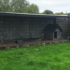 Dog run House